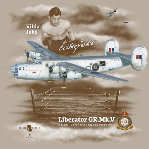 Liberator Coastal Command RAF
